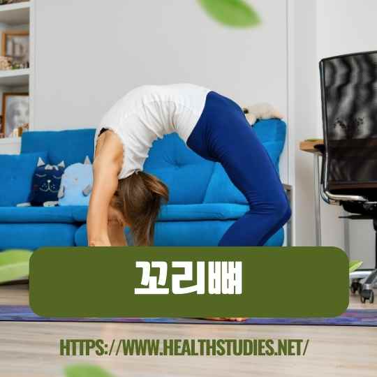 꼬리뼈 통증-사진-5