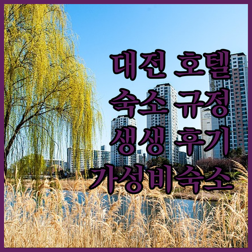 대전 호텔 완벽 분석 숙소 규정부터 