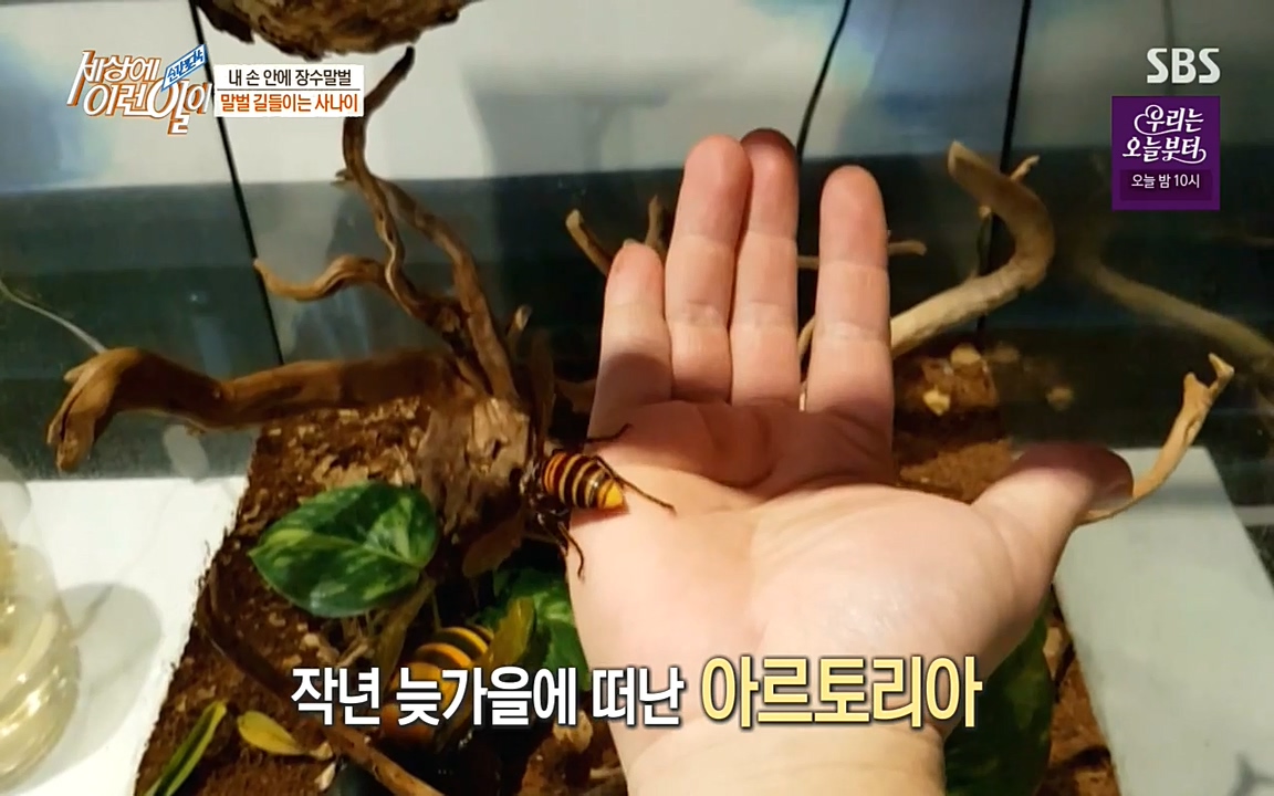 순간포착 세상에 이런일이.E1180.220518p-NEXT.mp4_20220518_180504.175.jpg