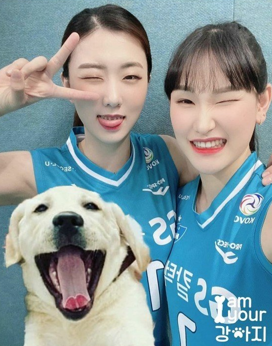  안혜진 GS칼텍스 서울KIXX, 운이 좋은 그녀, 천운, 우연? 관상 복많은 부처님귀, 공격수 소소자매, 순둥이 외국인 러츠, 차상현 감독, 국대후보 이다영 탈퇴로 강제 국대행, 절친 입단 하지만 토..