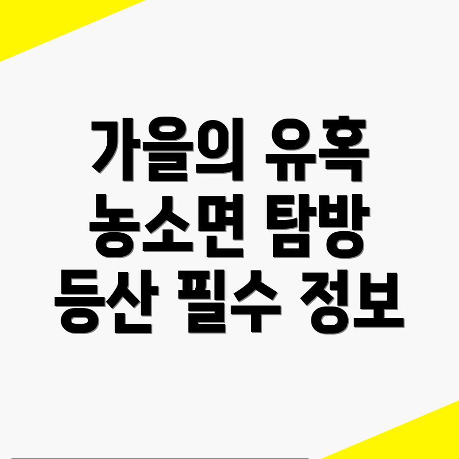 가을 등산