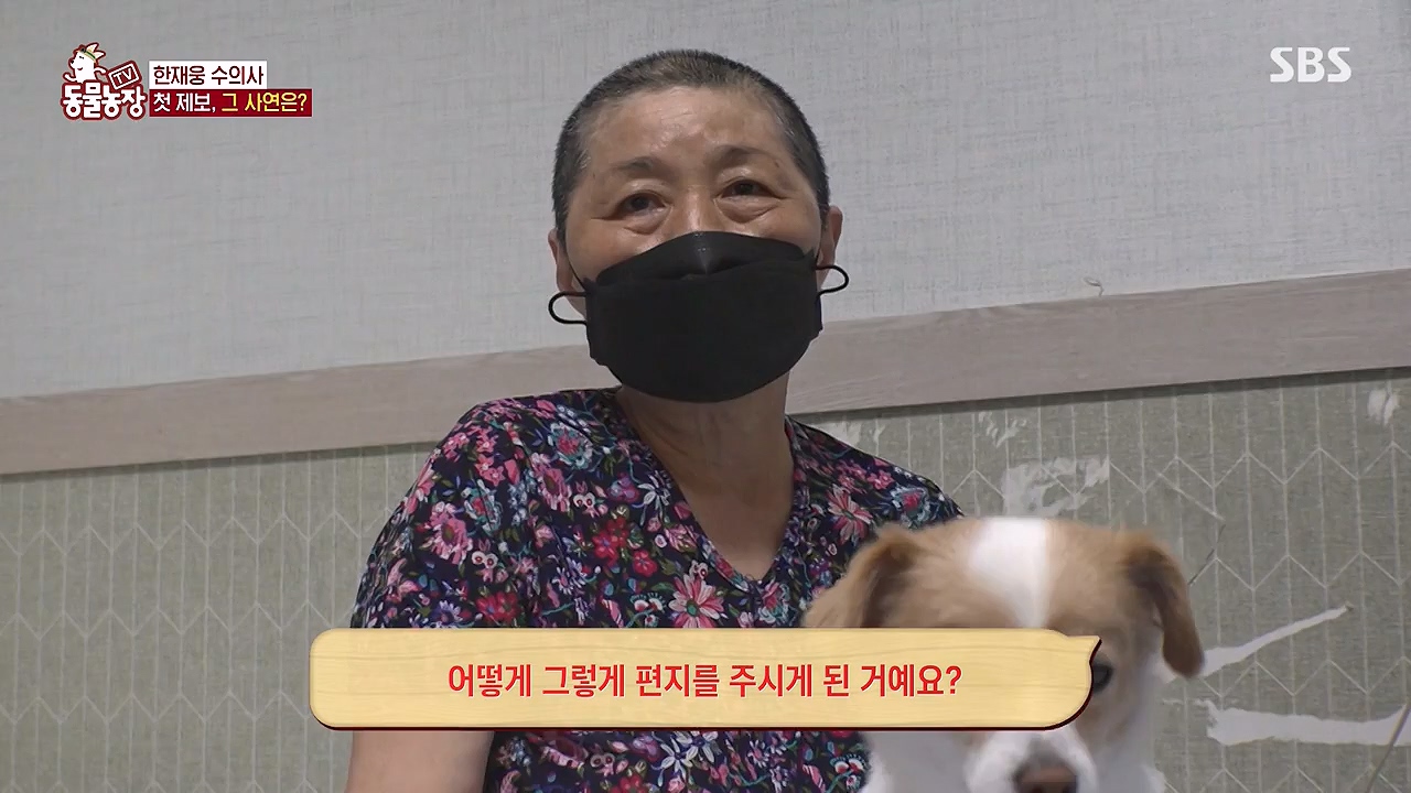 TV 동물농장.E1174.240603p-NEXT.mp4_20240602_155739.905.jpg