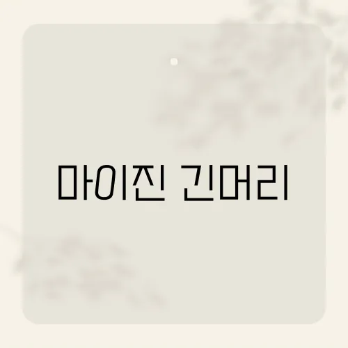 마이진 헤어 이미지