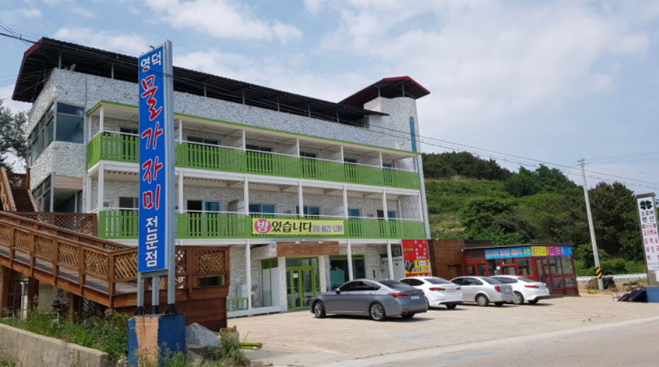  식객 허영만의 백반기행 영덕 오대환 물가자미 정식 고등어구이 백반 맛집 정보