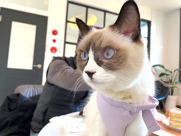 가볼만한곳 속초 38DEGREE 10