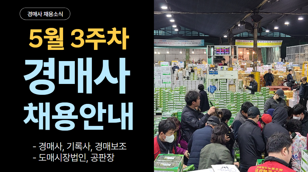  [경매사 채용정보] 2024년 5월 3주차 진행되는 경매사 채용소식을 알려드립니다!