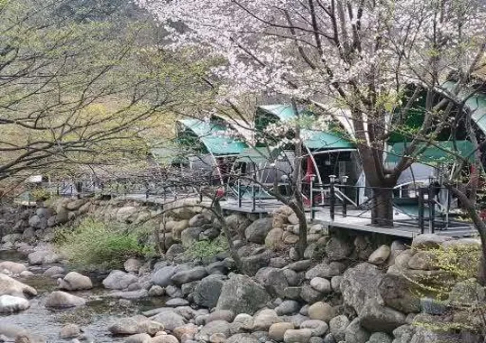지리산벚꽃카라반캠핑장