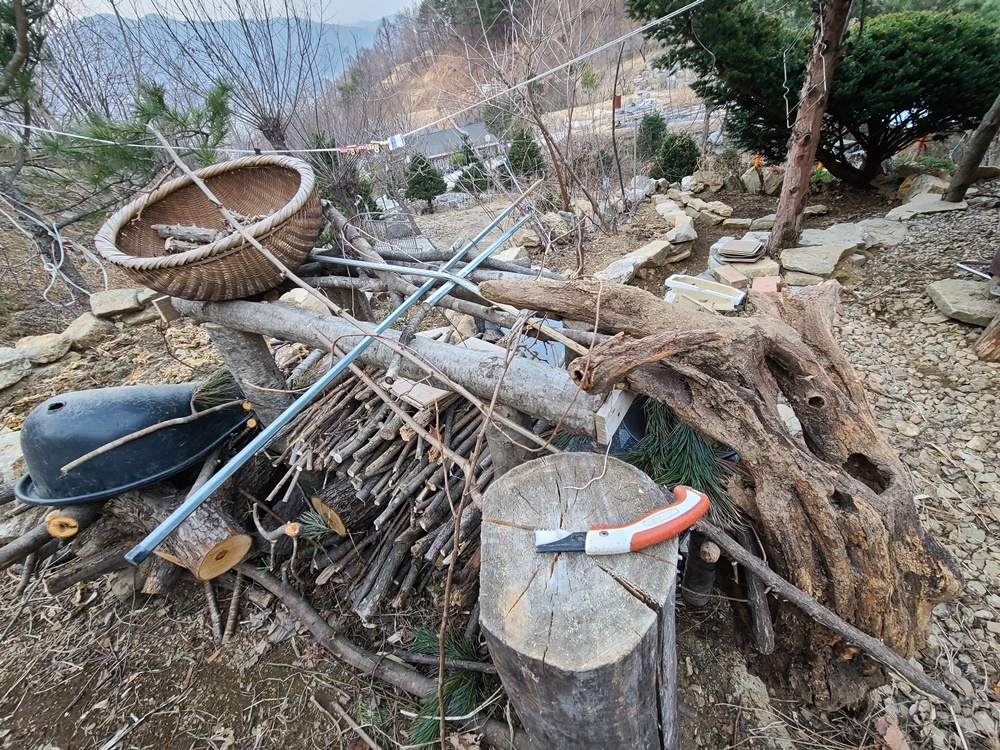 호원당능이삼계탕-고려자재백화점-베어시티-리더스식자재할인마트