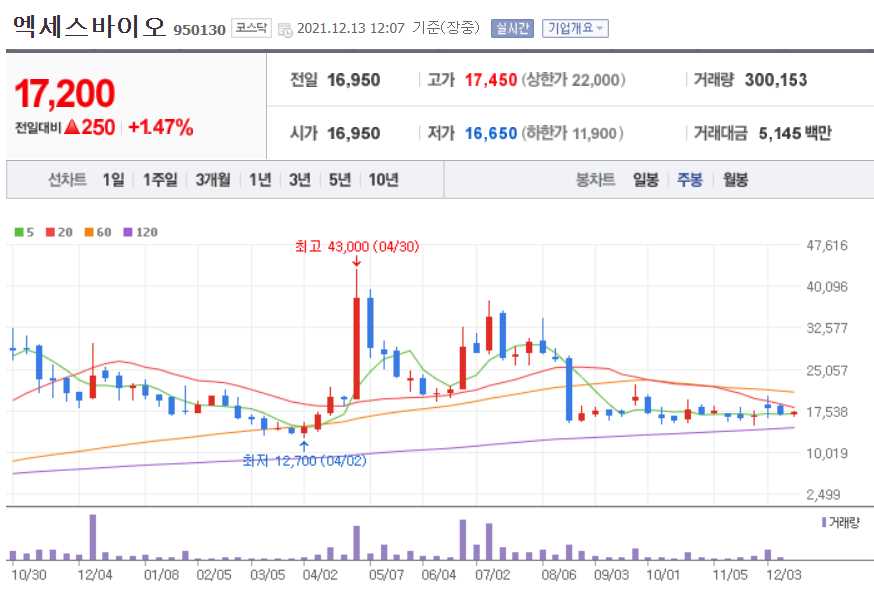 진단키트 관련주식 총정리