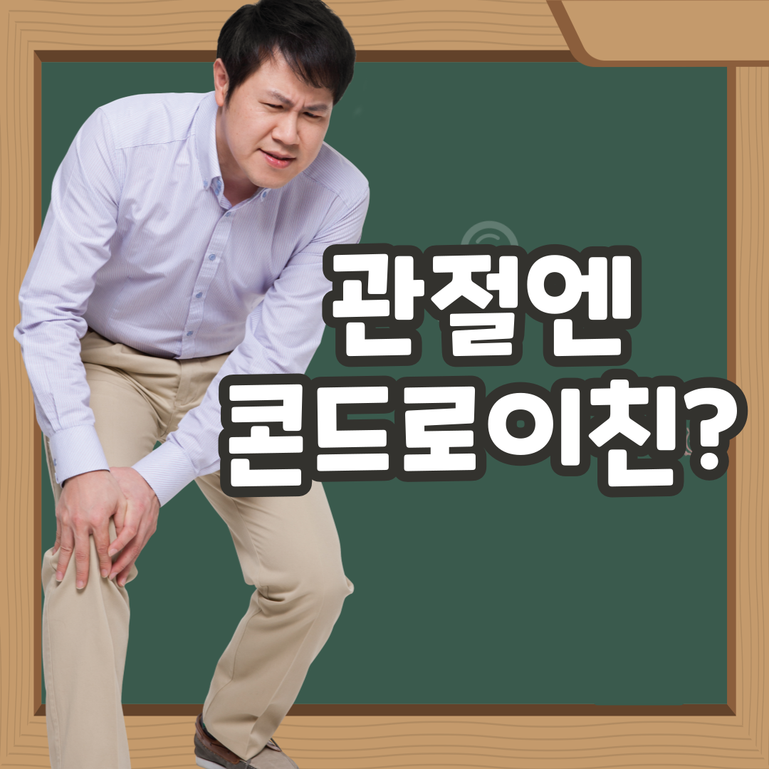  콘드로이친 1200 효능 및 부작용 총정리 (연골 주성분)