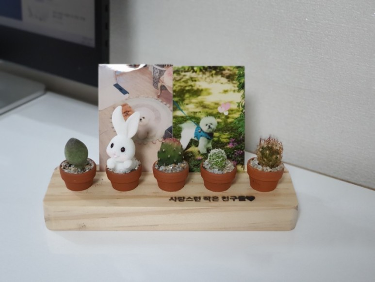 다육이 사이트 반려식물 초미니 17