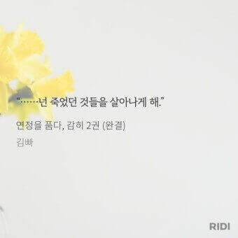 연정을-품다-감히-2권-김빠
