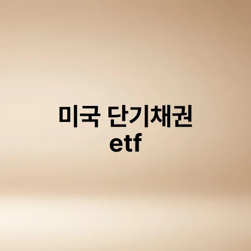 미국 단기채권 etf