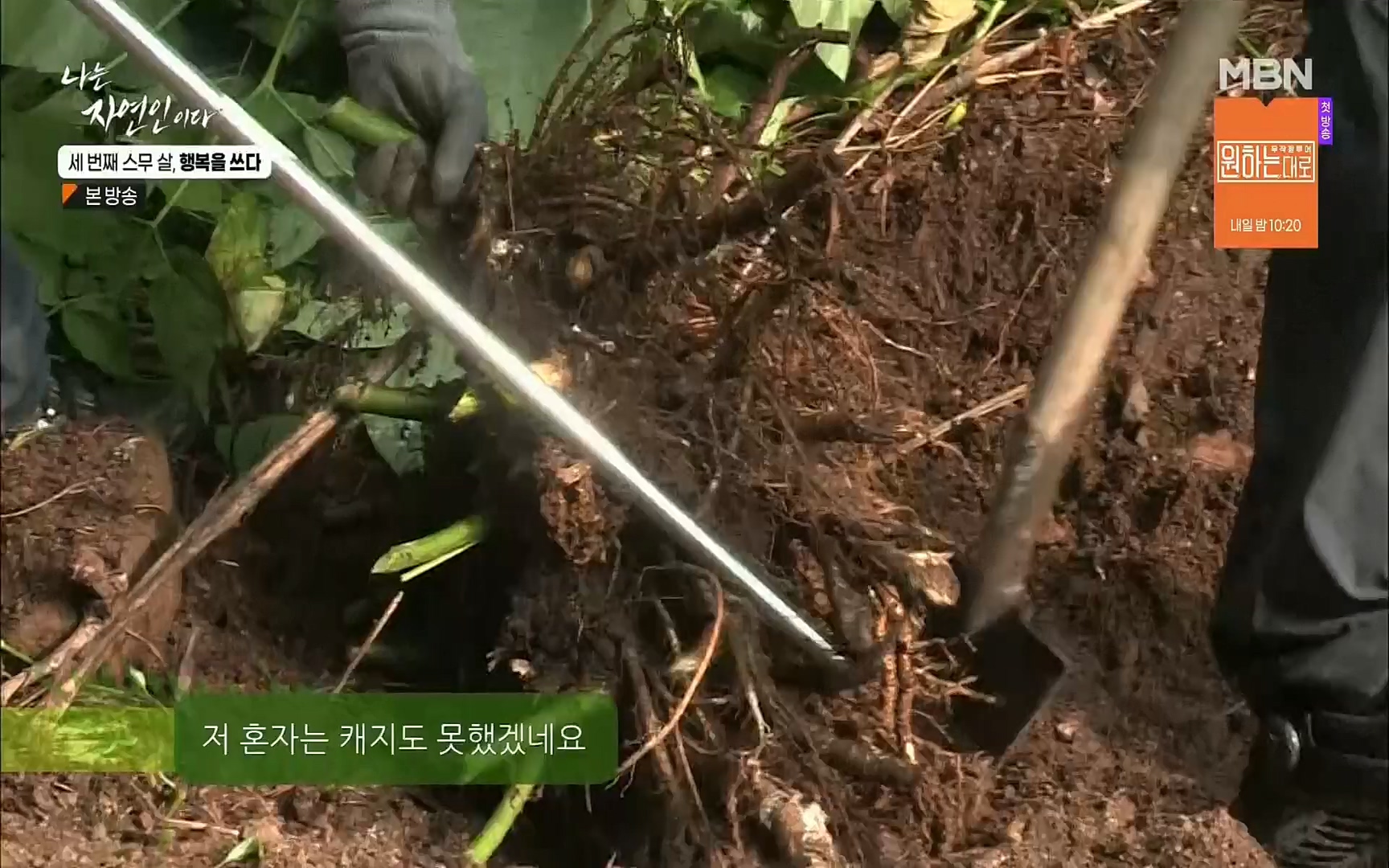 나는 자연인이다.E516.220824p.H264-F1RST.mp4_20220825_164143.473.jpg