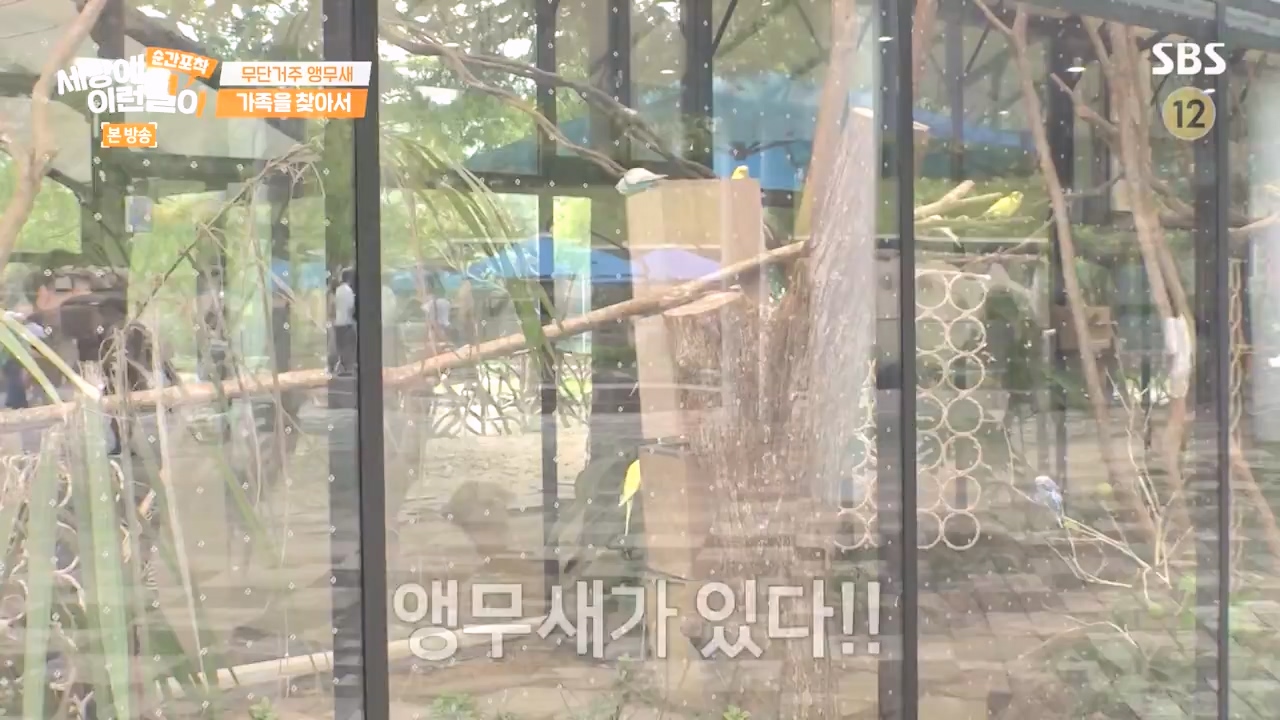 순간포착 세상에 이런일이.E1248.231015p-NEXT.mp4_20231015_164754.254.jpg