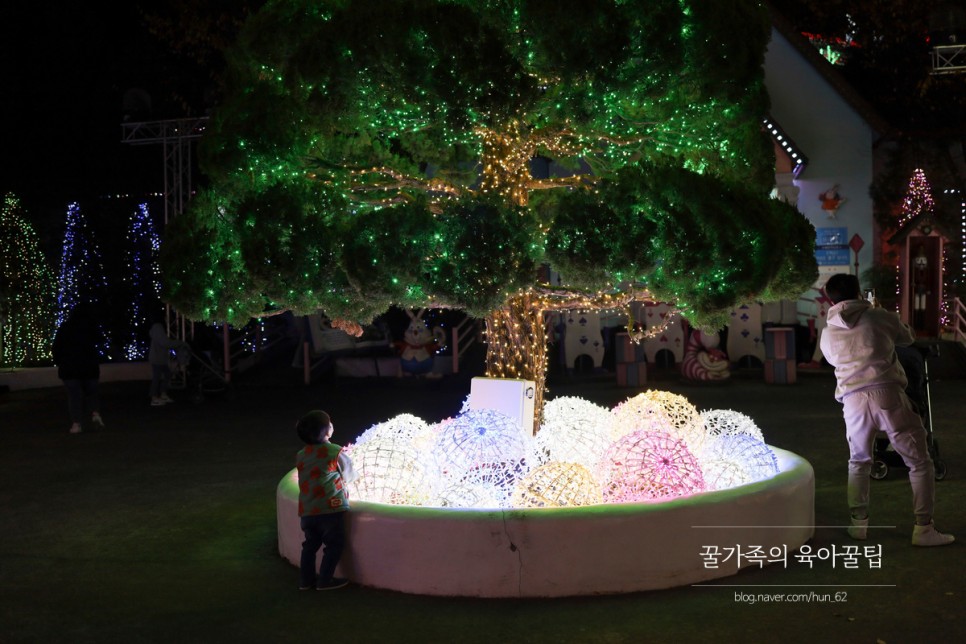 경북 축제 경북 아이와가볼만한곳 청도 45