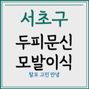 서울 서초구 두피문신 모발이식