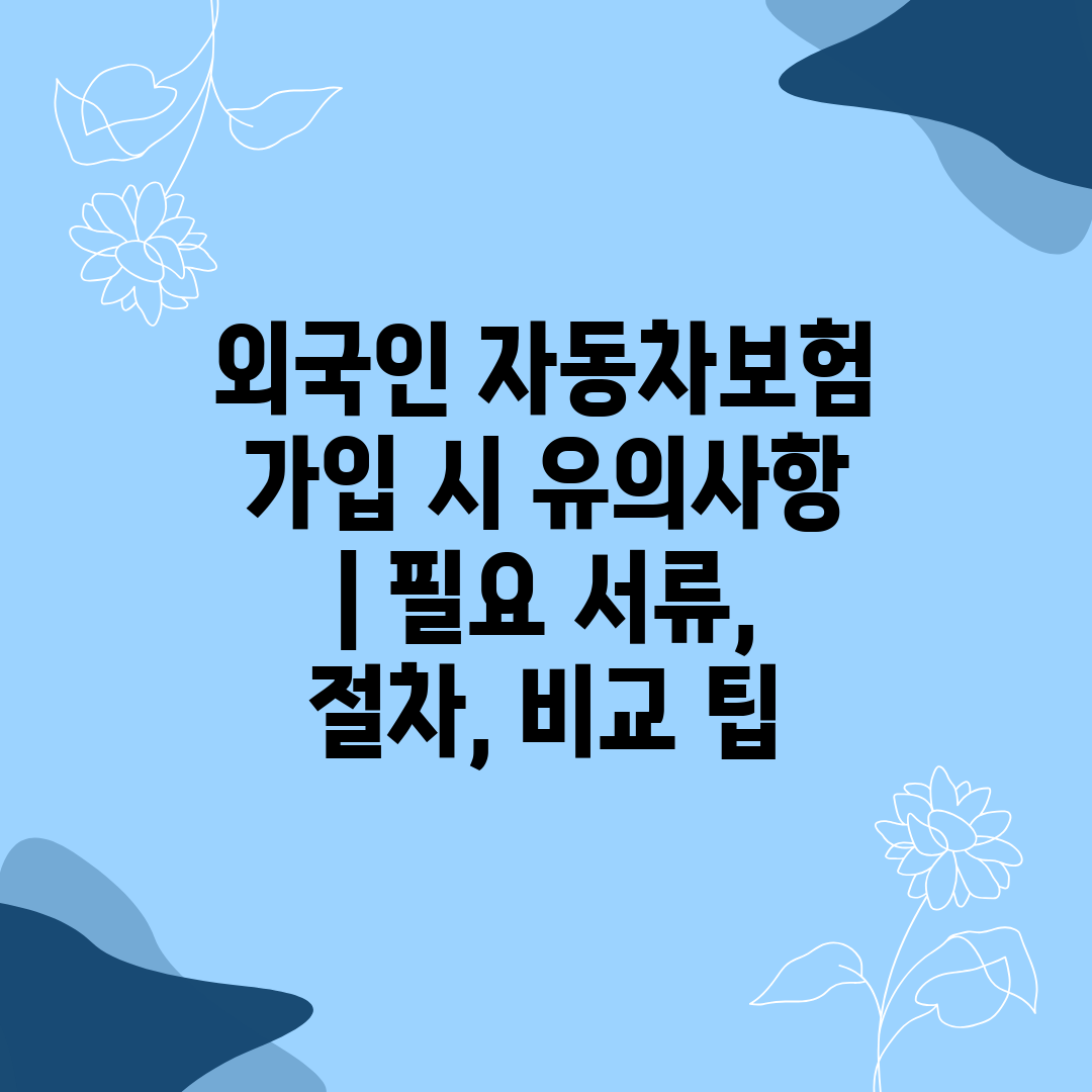 외국인 자동차보험 가입 시 유의사항  필요 서류, 절차