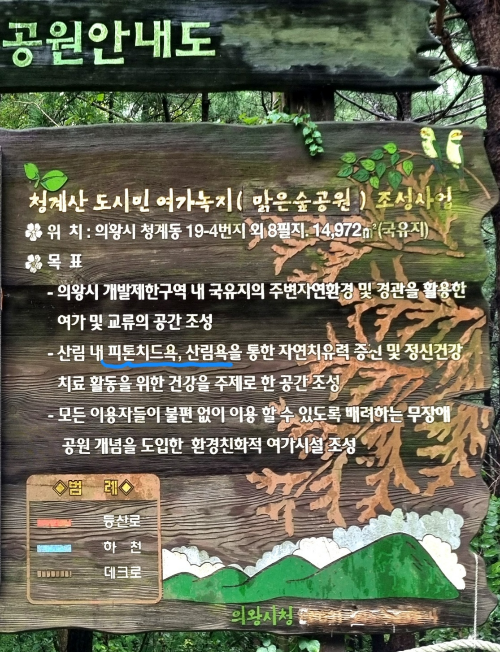 청계산 산림욕