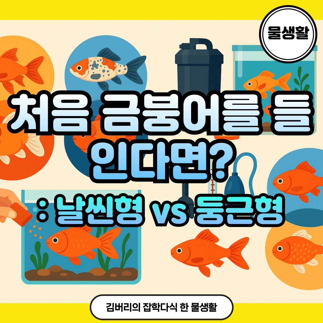 금붕어 키우기와 종류