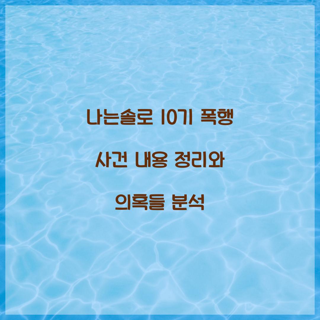 나는솔로 10기 폭행 사건 내용