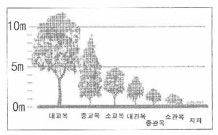 교목과 관목의 차이