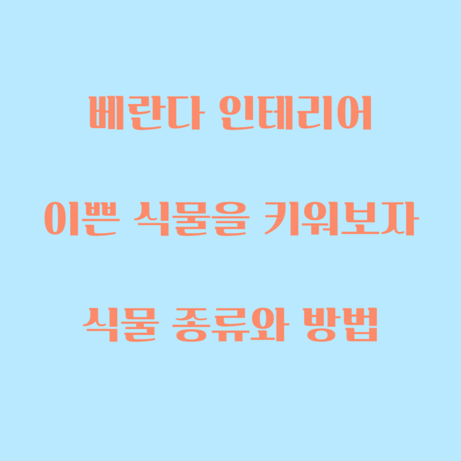  베란다에 식물을 키워보자, 식물 종류와 방법 추천