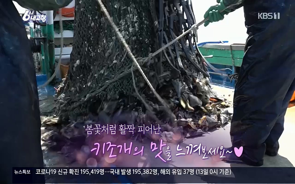 6시 내고향.E7510.220414p.H264-F1RST.mp4_20220419_185745.435.jpg