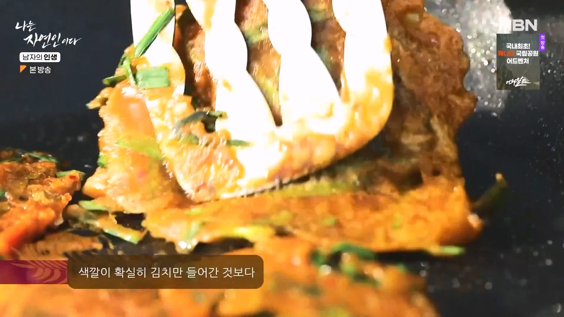나는 자연인이다.E586.231227p-NEXT.mp4_20231229_201808.110.jpg
