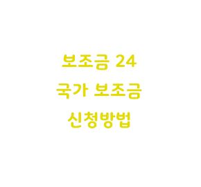  보조금 24 홈페이지 국가 보조금 신청방법