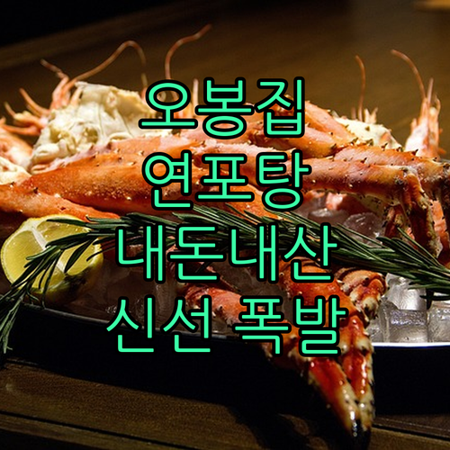 신선함 폭발! 오봉집 낙지 연포탕, 
