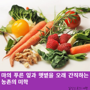 썸네일 사진