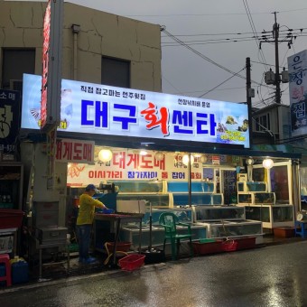 6시내고향 참가자미 경주 대구회센타 감포 맛집