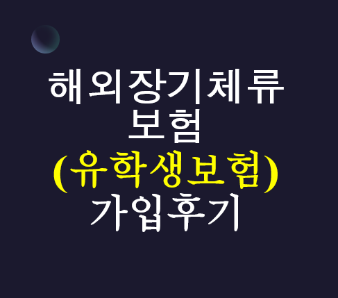  해외장기체류 보험 - 유학생보험 가입 후기 (미성년 자녀 가입), KB손해보험, 저렴한 가격
