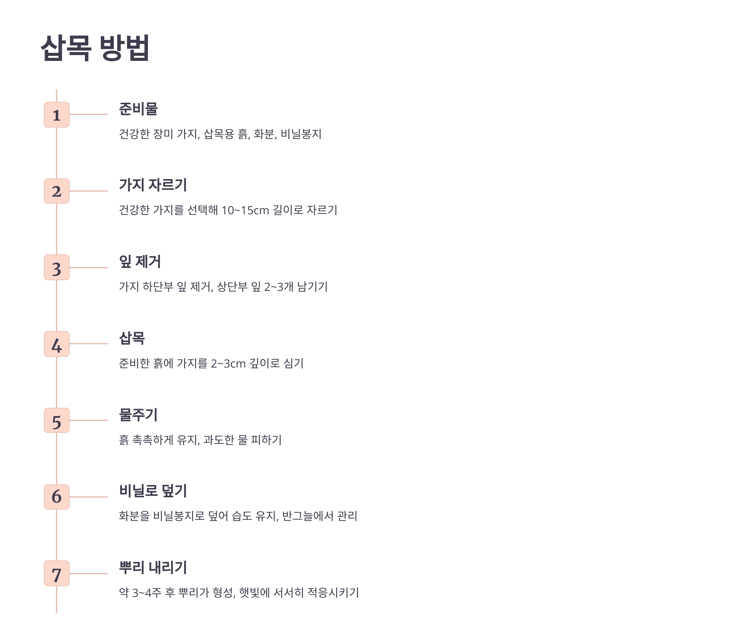 장미 사진입니다.