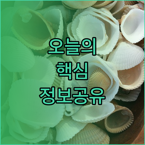 산루이스 탈파 호텔 숙소 규정과 리뷰
