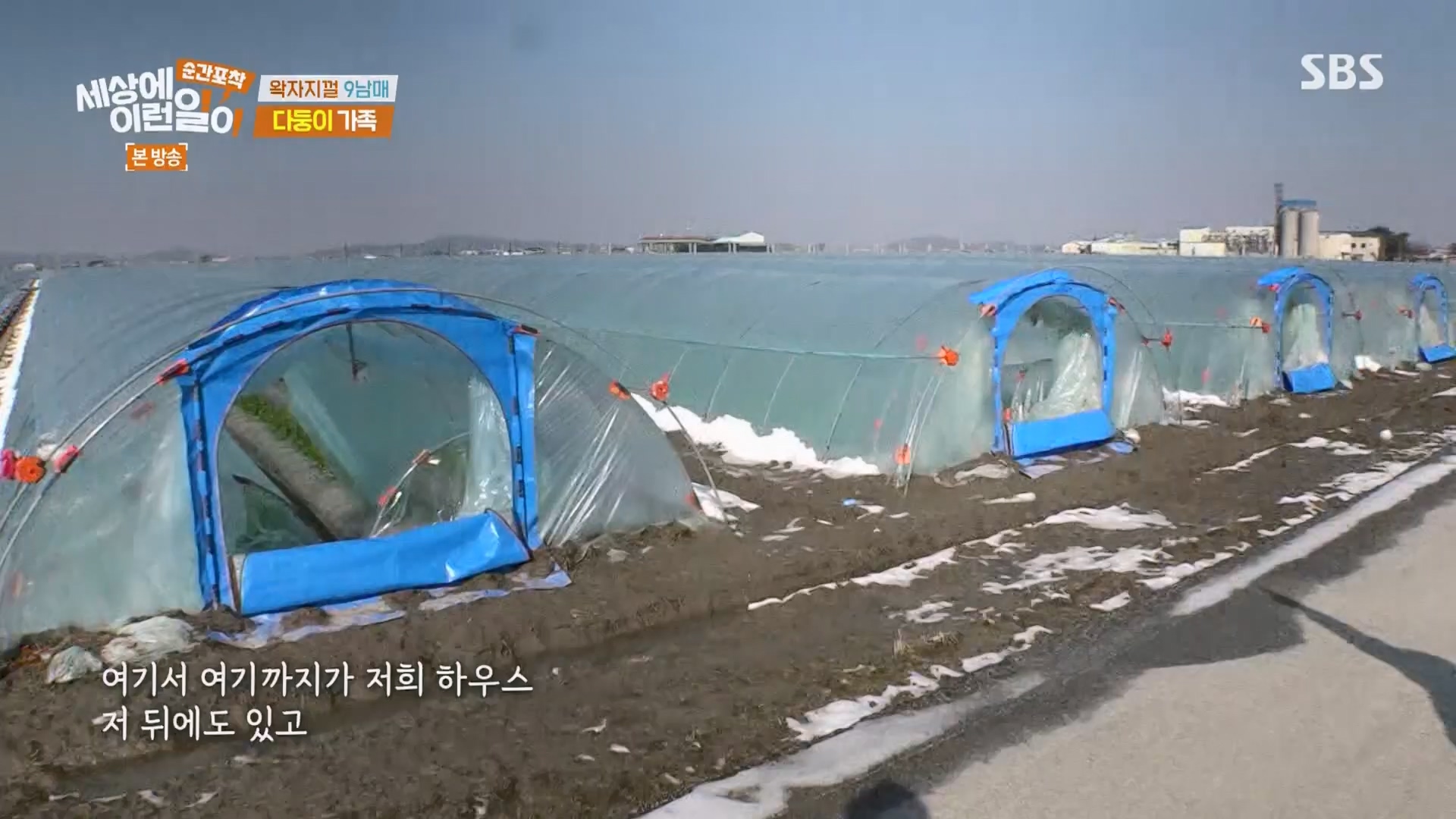 순간포착 세상에 이런일이.E1264.240210p.H264-F1RST.mp4_20240211_190726.460.jpg