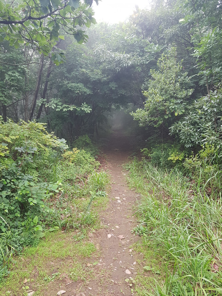  대구 최정산, 주암산 [주암산수양관~배바위~최정산]