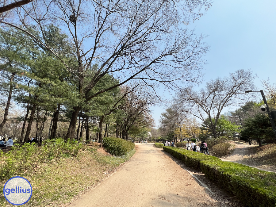 서울숲 살펴 볼 장소 일곱 번째&#44; 포토존 가는 길