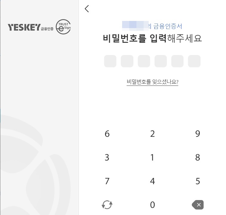 금융인증 비밀번호 입력