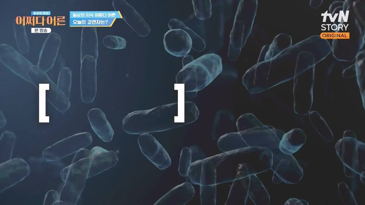 어쩌다 어른.E51.240410p-NEXT.mp4_20240410_180507.861.jpg