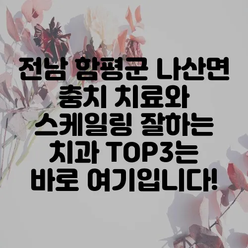 전남 함평군 나산면 충치 치료와 스케일링 잘하는 치과 TOP3는 바로 여기입니다!