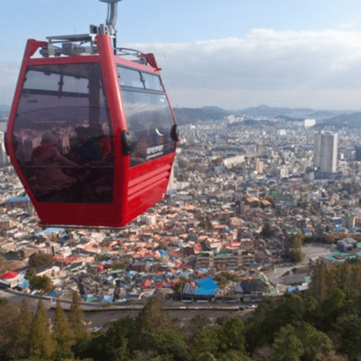 전남-여수시-돌산읍-돌산로-3600-1