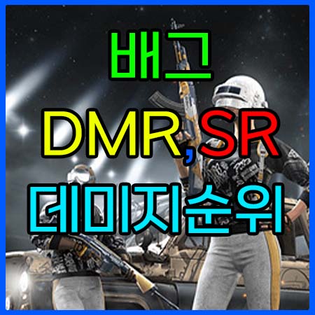 배틀그라운드DMR과SR에대해서제가설명해드리겠습니다