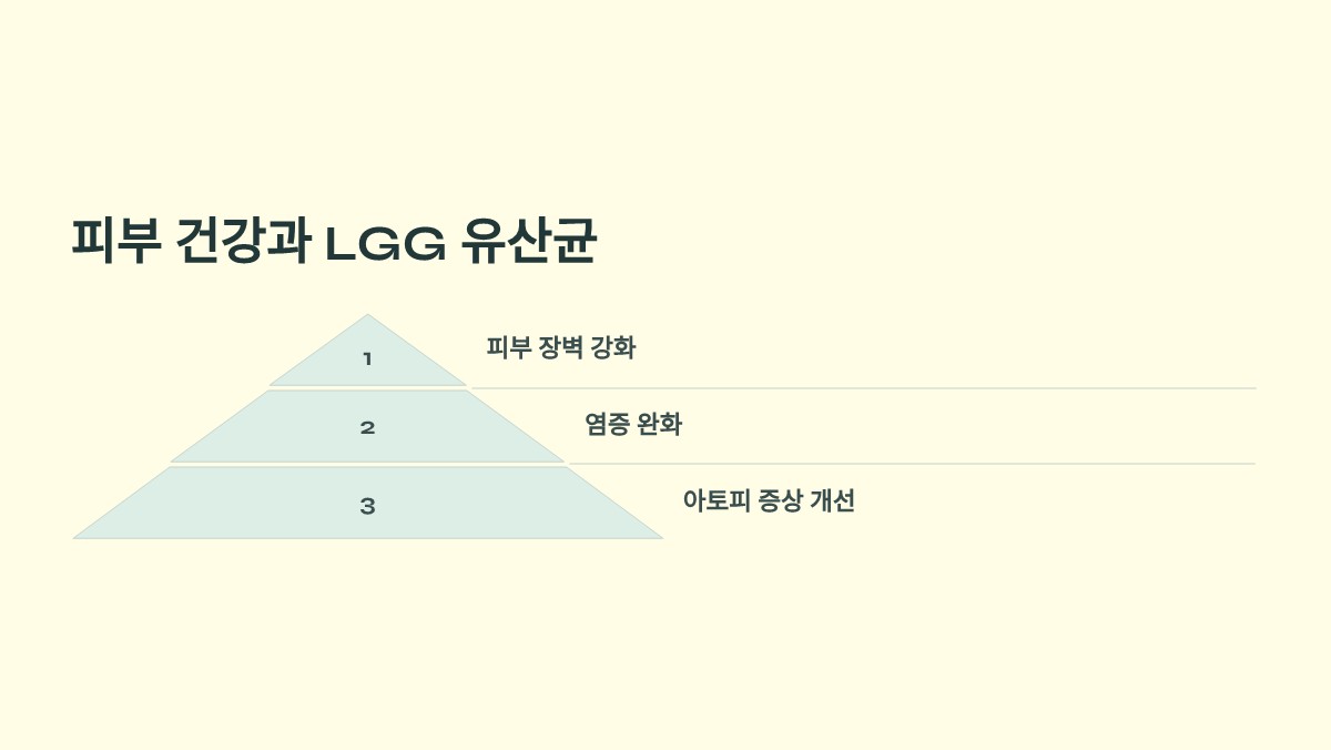 LGG 유산균 효능