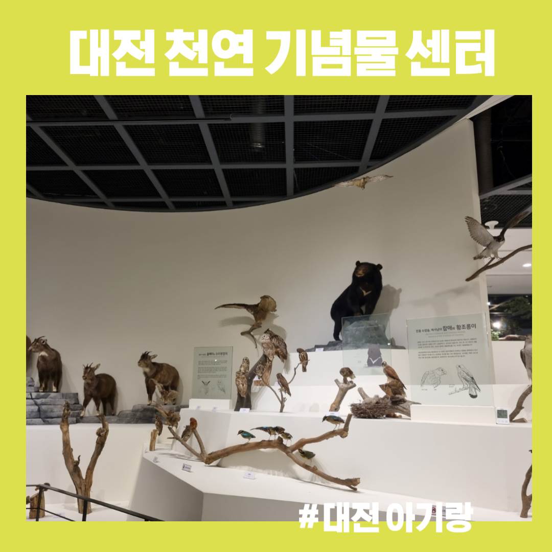  [대전 아기랑 갈만한 곳] 18개월 아기랑 천연기념물센터 방문 후기