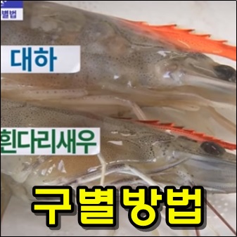  대하, 흰다리새우 구별방법