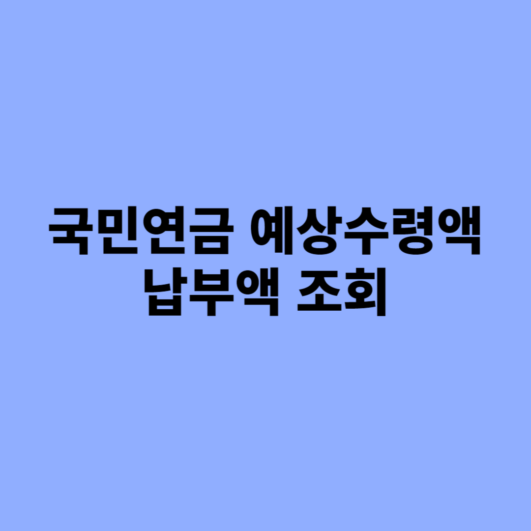 국민연금 예상수령액