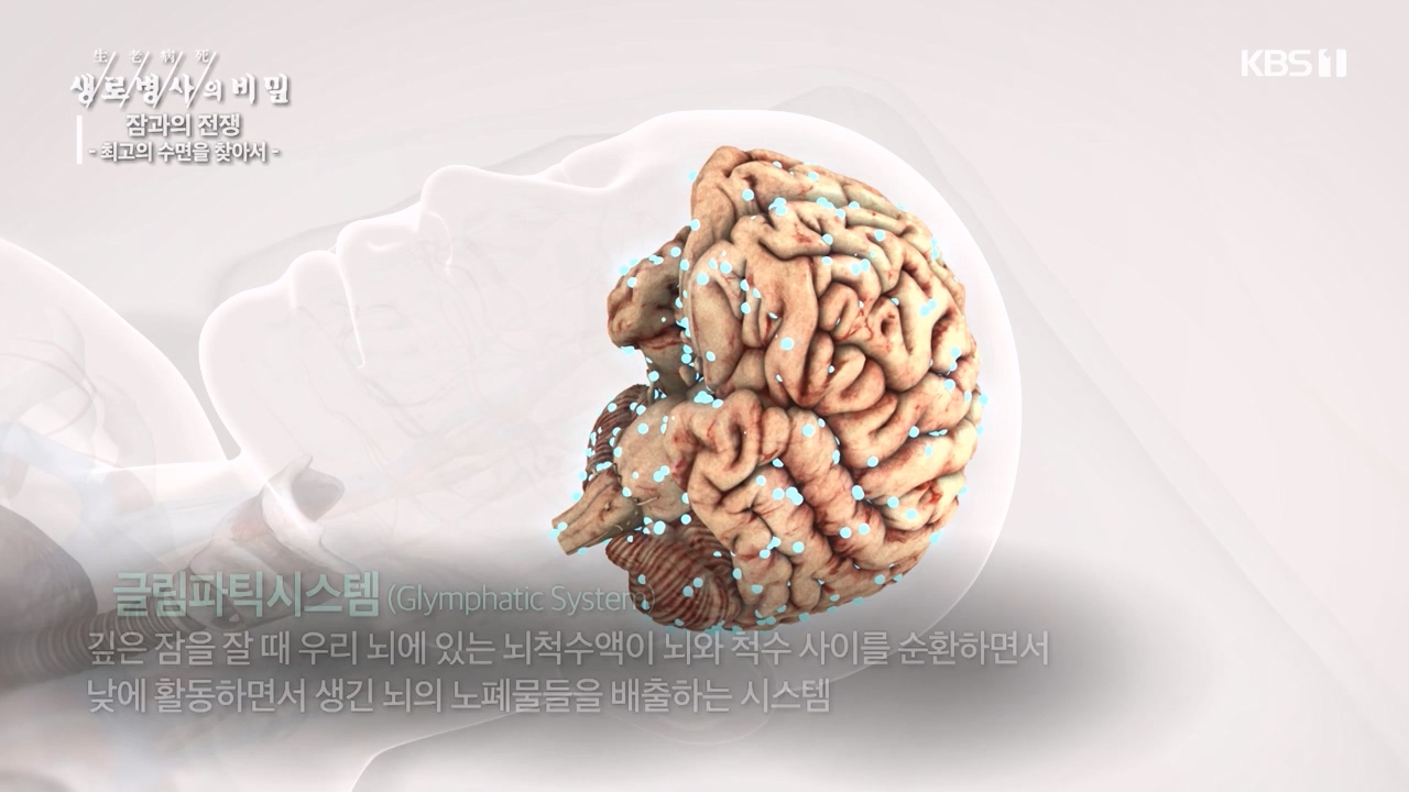 생로병사의 비밀.E880.230824p-NEXT.mp4_20230824_205226.505.jpg