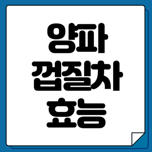 양파 껍질차 효능 6가지 및 부작용